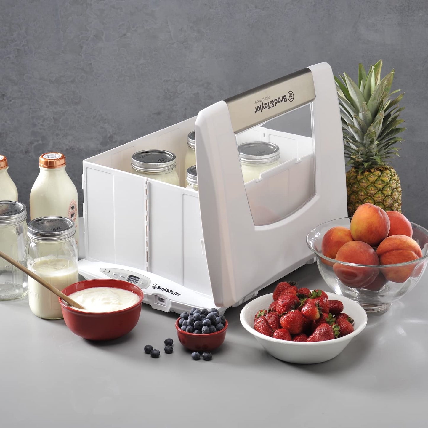 Brod Taylor Folding Proofer Cooker